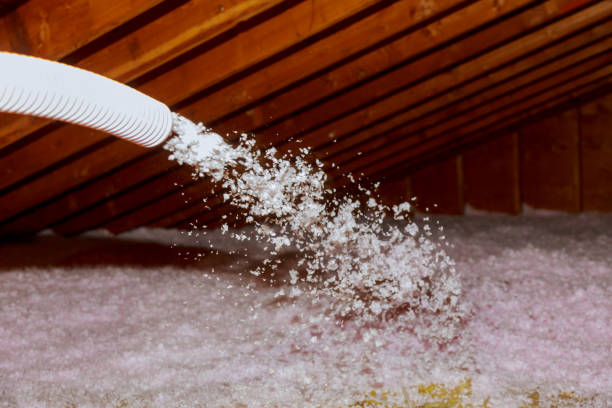 Best Cellulose Insulation in Fruita, CO