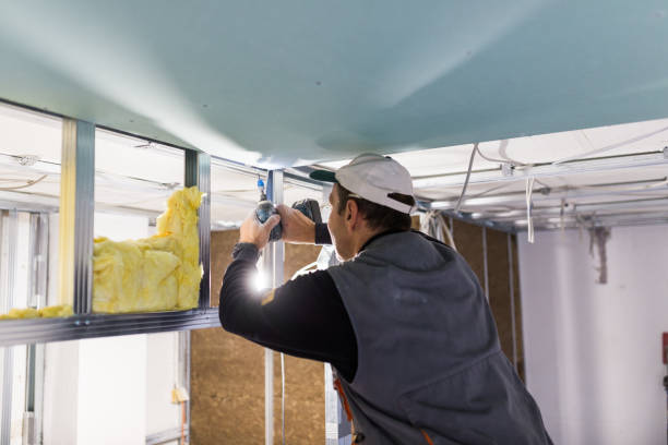 Types of Insulation We Offer in Fruita, CO