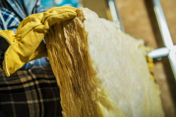 Best Commercial Insulation in Fruita, CO