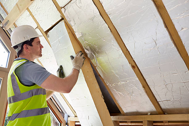 Best Specialized Insulation Services in Fruita, CO