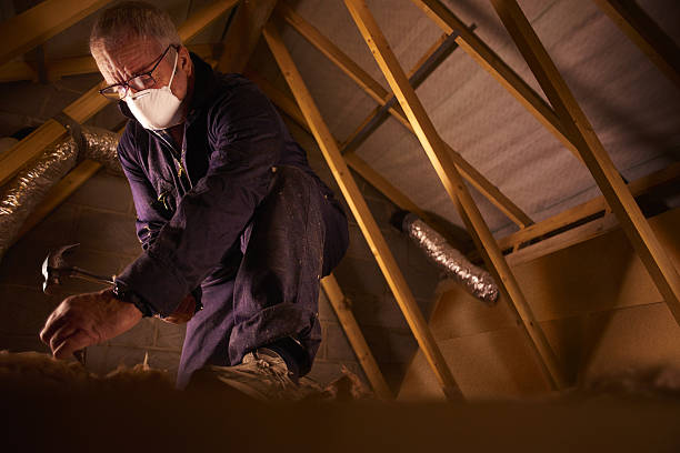 Best Fiberglass Insulation in Fruita, CO