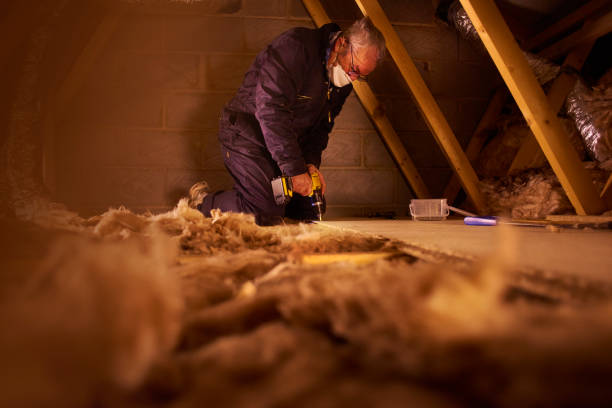 Best Blown-in Insulation in Fruita, CO